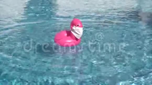 泳池玩具火烈鸟戴医用口罩视频的预览图