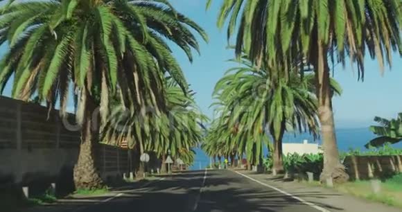 经过蓝天的棕榈树开车穿过阳光明媚的比佛利山加州洛杉矶视频的预览图