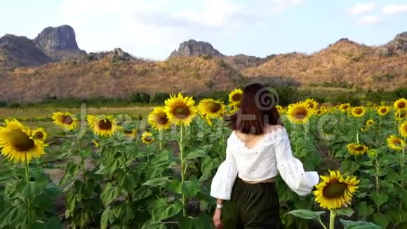 泰国罗布里高珍莱妇女与向日葵一起散步和享受的慢动作视频的预览图