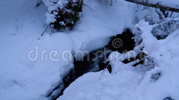 山涧中冬林山河在冬季的冰雪中流淌视频的预览图