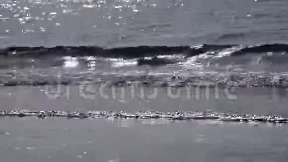平静海浪的放松观视频的预览图