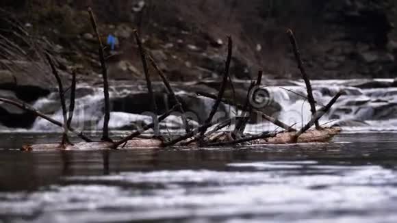 倒下的树或原木用急流和石头漂浮在山河上洪水慢动作视频的预览图