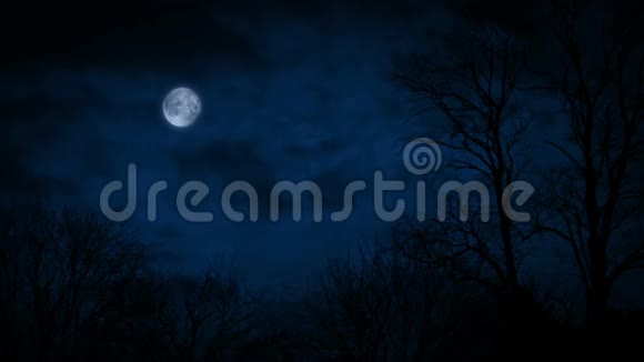 森林中的月亮闪烁的夜景视频的预览图