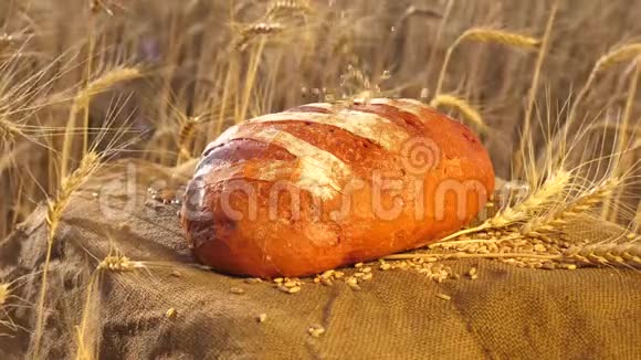 一块美味的面包躺在袋子上麦粒落在麦地上的面包上成熟的粮食倒在上面视频的预览图