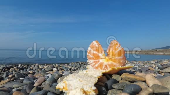橙色躺在海边的卵石滩上自然和有机水果的生态旅游和消费视频的预览图