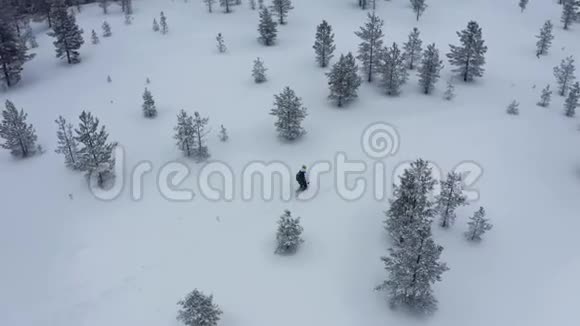 冬季暴风雪过后积雪覆盖常绿树木的空中拍摄视频的预览图