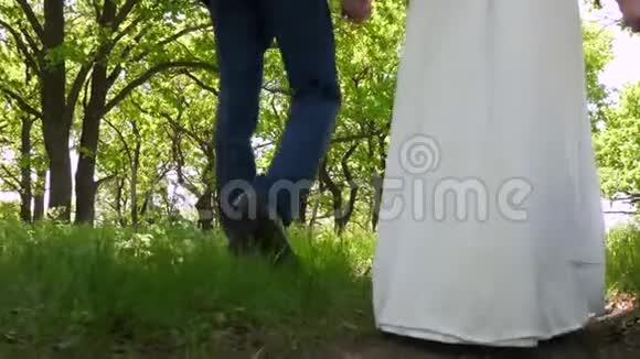 腿沿着小路走新婚夫妇在公园里散步一对情侣在夏天在一个美丽的公园里旅行视频的预览图