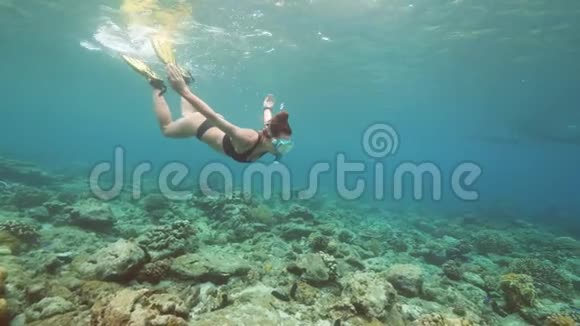 年轻的高加索女人穿着比基尼带着珊瑚在海洋中游泳视频的预览图