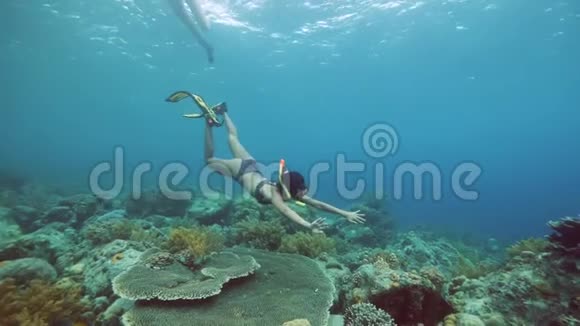 一个年轻的女人在珊瑚附近打鼾在水下游泳视频的预览图