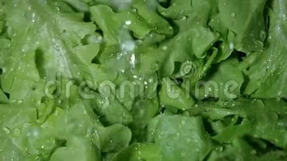 新鲜的生蔬菜水滴缓慢飞溅视频的预览图