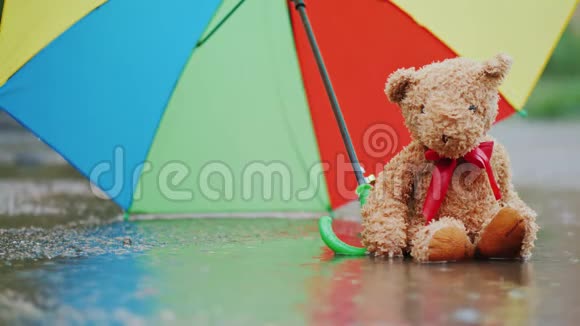 一只湿漉漉的泰迪熊坐在伞下的水坑里风吹着伞视频的预览图