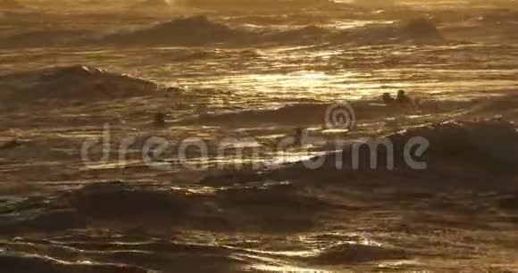 在日落时冲浪法国奥西塔尼帕拉夫斯莱斯弗洛茨视频的预览图