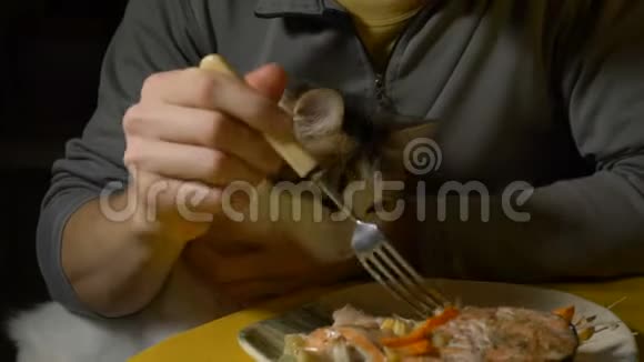 有趣的有色猫和主人吃红鱼坐在桌子上视频的预览图