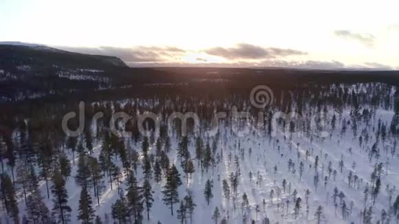 日落时飞越雪山森林上空的北欧冬季景观视频的预览图