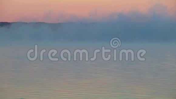 太阳升起时鸟儿在水面上飘浮在宁静的湖面上美丽的柔和的调色板上视频的预览图