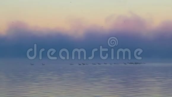 雾在日出时从湖边升起鸟儿在美丽的静音调色板中飞翔放松平静视频的预览图