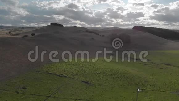 新西兰霍克湾一个农村地区空中射击可以看到美丽的山丘松树和一些羊视频的预览图