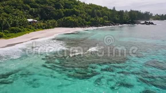 空中海滩展示了安塞福班斯热带海岸的镜头塞舌尔马河岛视频的预览图