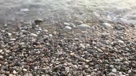 滩海洋浪视频的预览图