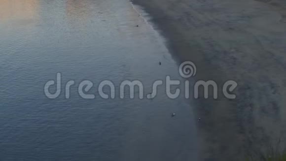 葡萄牙锡恩斯海滩大西洋沙滩上的海鸥鸟视频的预览图