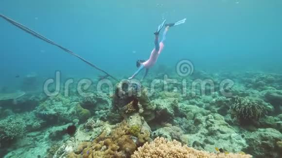 一个自由儿童潜水员在水下采摘海星视频的预览图
