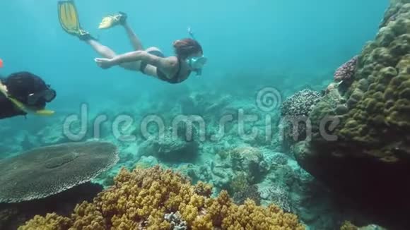 两个雌性浮潜者在蓝色海洋中的珊瑚附近水下游泳视频的预览图