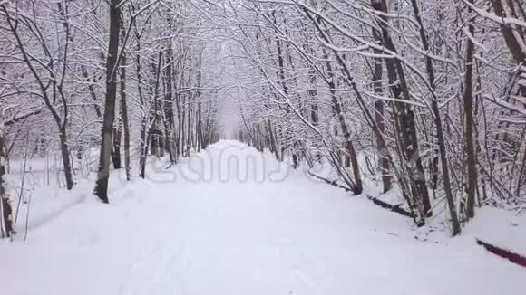 白雪覆盖的路边树慢动作视频的预览图