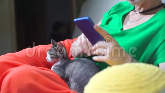 一个跪着猫的女孩正在等待兽医的接待视频的预览图