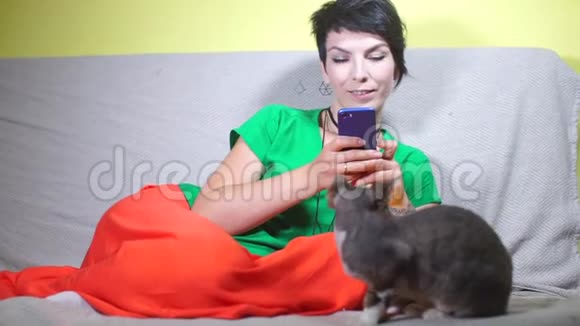 女孩用智能手机抚摸猫视频的预览图