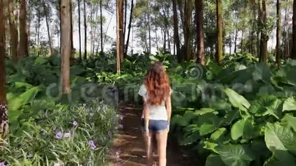 一个黑发的年轻女孩走在高大的热带灌木丛中视频的预览图