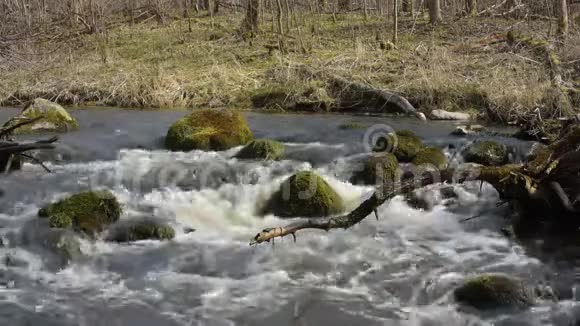 清澈的河水在春天里流淌清澈的小溪视频的预览图
