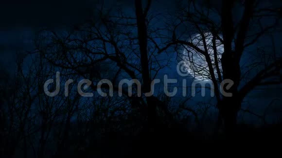 暴风雨之夜树后有月亮视频的预览图