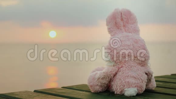 粉红玩具野兔坐在码头上看着初升的太阳视频的预览图