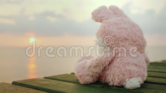 一只疲惫的野兔坐在木墩上看着太阳从海上升起视频的预览图