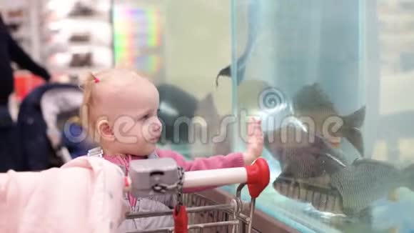 一个小女孩坐在一辆购物车里看着超市里的鱼部里的腐肉视频的预览图