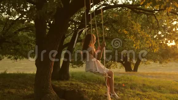 在夕阳的照耀下快乐的孩子在公园的秋千上骑在橡树上童年和飞行经历概念视频的预览图