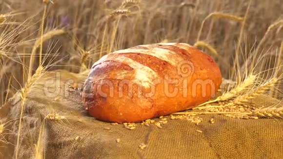 农夫新鲜面包店面包麦田里清脆的新鲜面包美味的白面包躺在田野里的白面包上视频的预览图