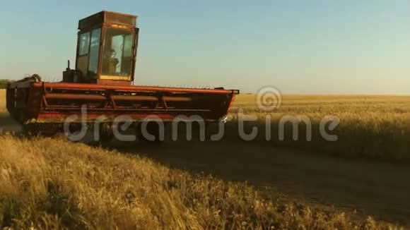 联合收割机继续收割小麦旧的领地麦田一个农民骑着一辆旧车视频的预览图