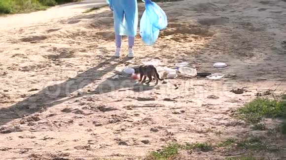 青年志愿者和孩子们在海滩上收集垃圾在海滩上收集猫视频的预览图