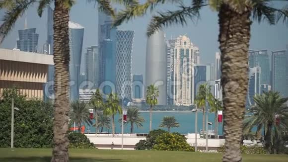 通过模糊的棕榈树俯瞰多哈现代天际线的全景卡塔尔晴天视频的预览图