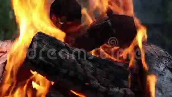 从火的抽象背景中燃烧森林和煤视频的预览图