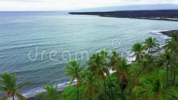 基霍洛湾黑沙滩空中有棕榈树夏威夷大岛视频的预览图