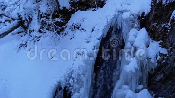 森林中喀尔巴阡山的冻冬瀑布视频的预览图