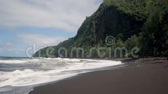 威比奥湾黑沙滩和太平洋海浪视频的预览图