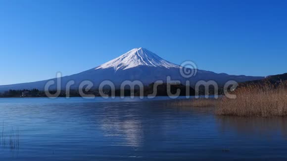 山川口湖离石公园蓝天富士视频的预览图