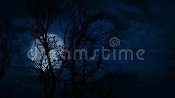 星月在树木后面快速移动视频的预览图