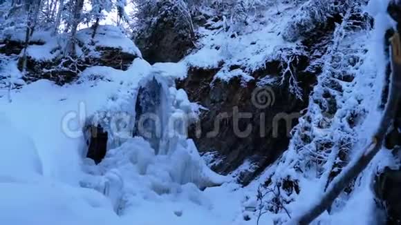 森林中喀尔巴阡山冰封的冬瀑布谷全景视频的预览图