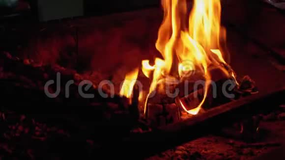 烧烤是由餐馆烤架上的火煮的煤中的红色火焰视频的预览图