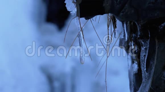 冰柱融化在冬季森林雪山景观与瀑布视频的预览图