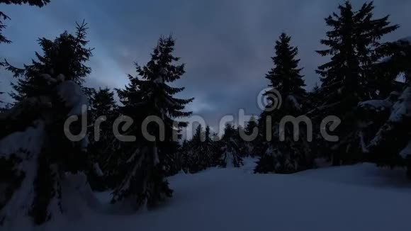 黄昏和黑夜在一片雪林中时间推移视频的预览图
